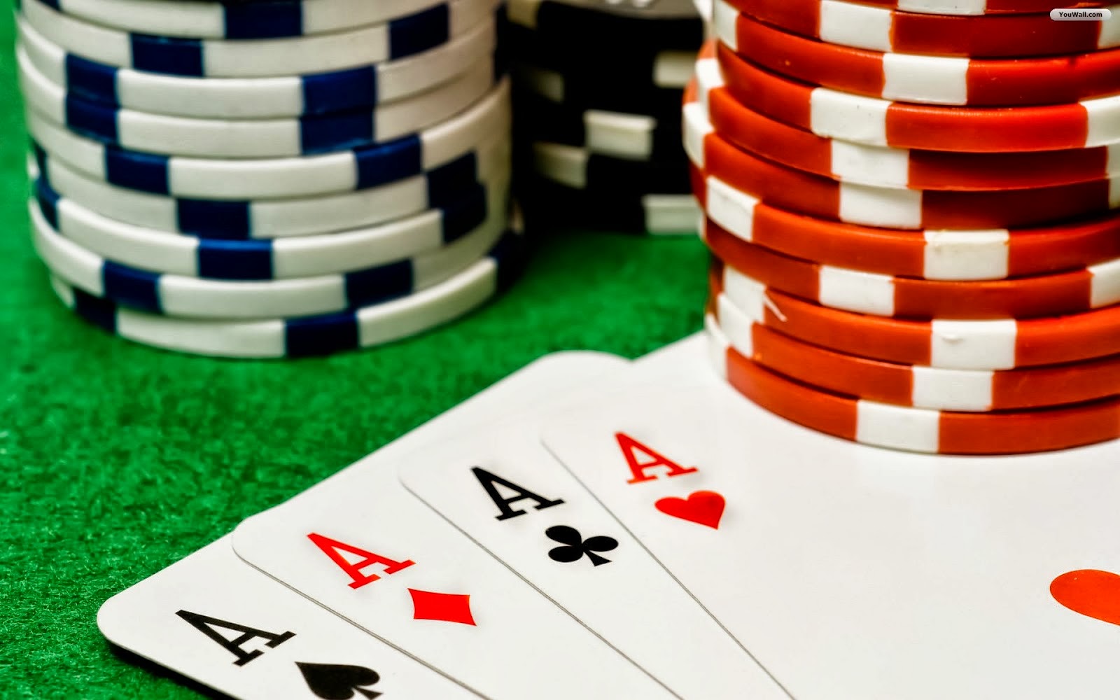 From Beginner to Pro: Your Journey in Learning Casino Card Games